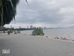 -深圳湾公园(南山区)