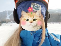 -亚布力新体委滑雪场