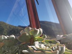 -四姑娘山阿巴郎·藏式花园餐厅