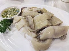 广州清心鸡-清新鸡沙田乳鸽店(金融店)