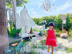 -安德鲁户外烧烤帐篷营地(马泉营店)