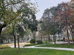 -渭滨公园