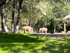 -北京野生动物园