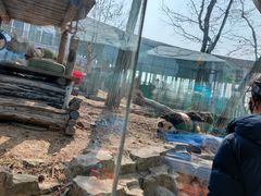 -大连森林动物园