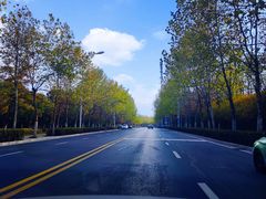-大蜀山国家森林公园