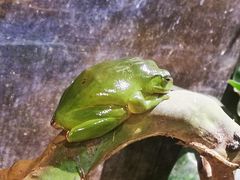 -正佳雨林生态植物园