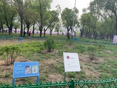 -太阳宫公园