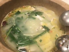 -七采菌园·石锅鱼野生菌火锅(环城北路店)