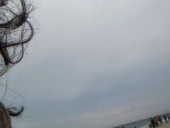 -海吃海喝海鲜烤肉炭火主题自助餐(朝阳店)