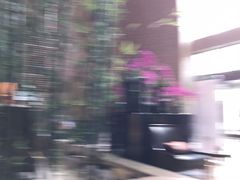 -天津君隆威斯汀酒店