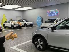 -上海浦东smart汽车全功能店(金桥店)