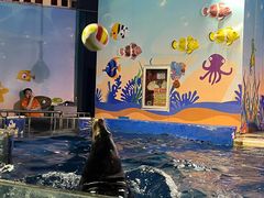 -太平洋海底世界