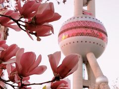 -东方明珠广播电视塔