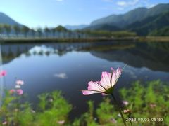 -大九湖