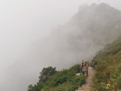 -白草畔自然风景区