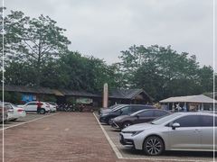 -大湾区中央湿地公园