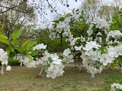 -白塘生态植物园