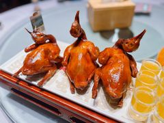 -大鸽饭(体育西路店)