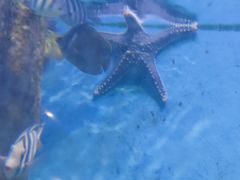 -常州海昌海洋探索馆
