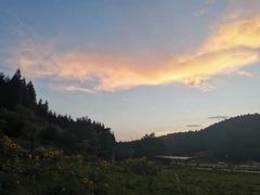 -武陵山森林公园
