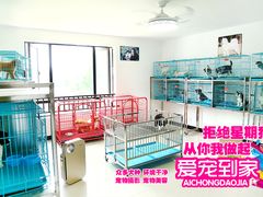 -翊宠yipet猫狗购宠庄园犬舍•猫舍