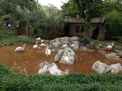 -昆明动物园