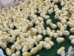 -大润发(明珠店)