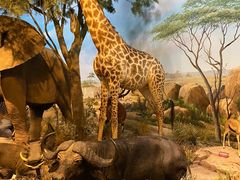 -陕西自然博物馆