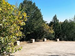 -大觉寺-停车场
