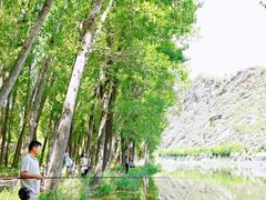 -白河湾生态旅游一条川