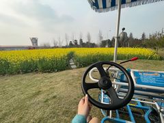 -国际非物质文化遗产博览园