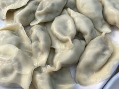 茴香猪肉-一轩饺子馆(丽都店)