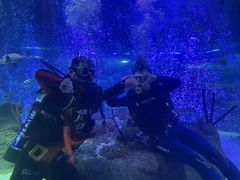 -沈阳海洋探索中心