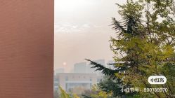 点击看大图 -时尚殿堂明星门店
