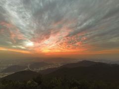-清溪森林公园