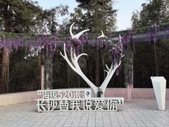 -长沙黑麋峰国家森林公园