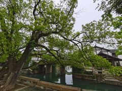 -乌镇景区