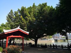 -光明港公园