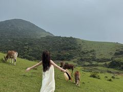-大姆山草场