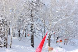 -大秃顶子山