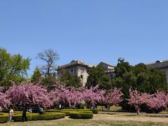 -旅顺博物馆