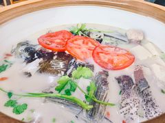 -全乐鱼馆·淳牌有机鱼直营店
