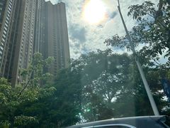 -虎英水上乐园