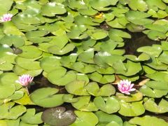 -乡党臊子面(丰庆公园店)