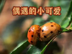 -南北湖风景区