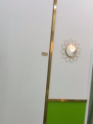 -苗医生专业祛痘·皮肤管理