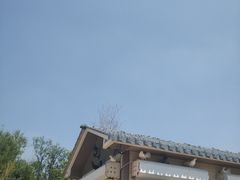 -东营园博园