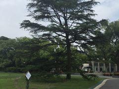 -御花园·粤菜·海鲜火锅(中山公园店)