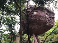 -天门沟九州驿站树上汤泉