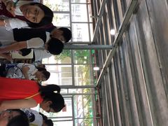 -洞背山庄(洞背院区式管理小区店)